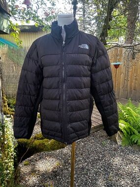 The North Face Men’s Black Insulated Puffer Jacket